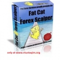 Fat Cat Forex Scalper